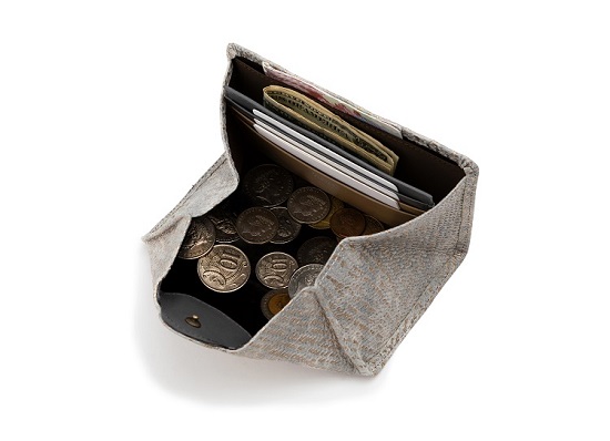 まるで長財布のように使える“箱型に開く小銭入れ”
HIROKO HAYASHI
DAMASCO（ダマスコ）マルチ財布
￥23,000+税