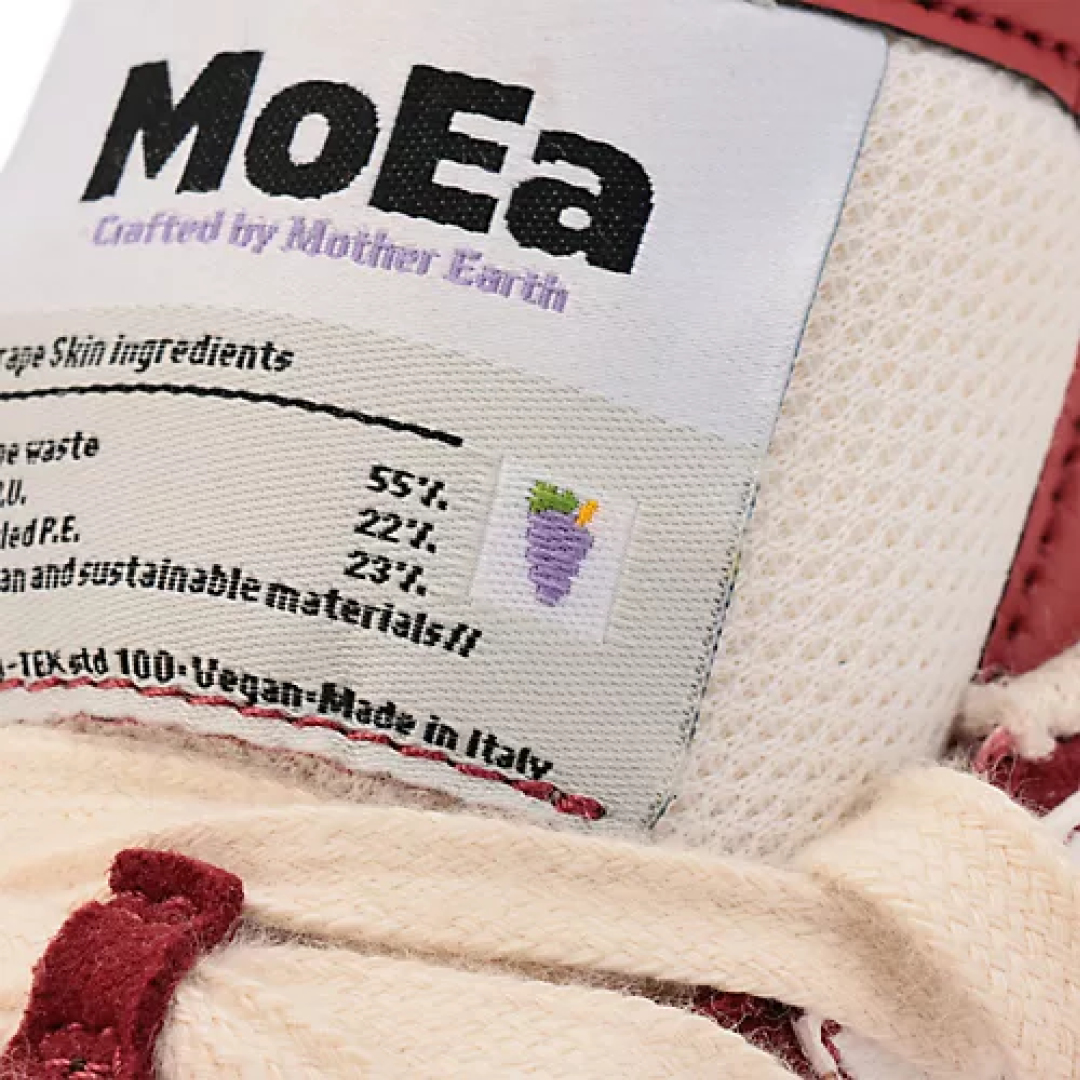 モエアのスニーカーGN9－10 ZOOM!2