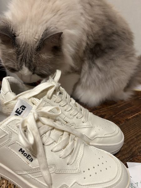 MoEaCorn Skin スニーカー￥29,700