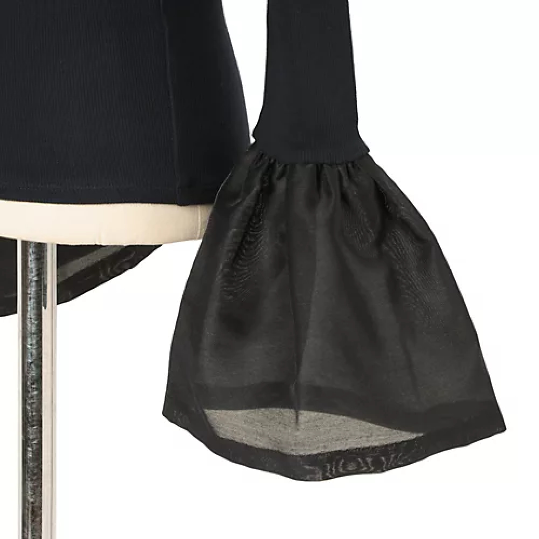 サードマガジンの【Marisol別注】オーガンジー袖カットソーZOOM!