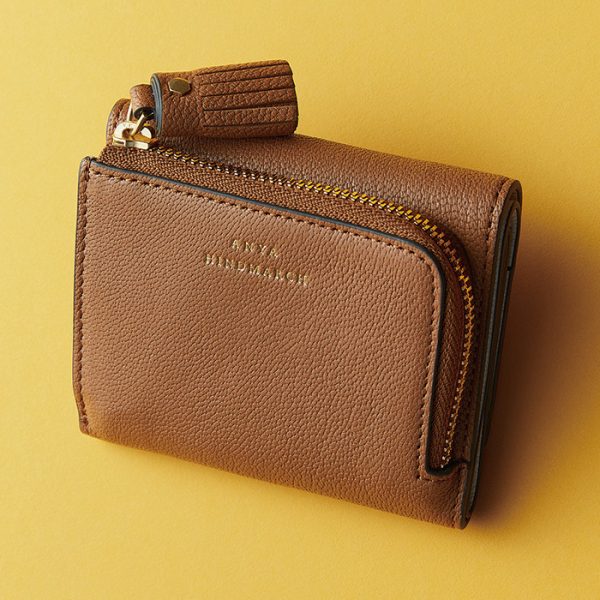 「ANYA HINDMARCH」の小型パースが機能的で可愛い！　Marisol11月号2025年特集