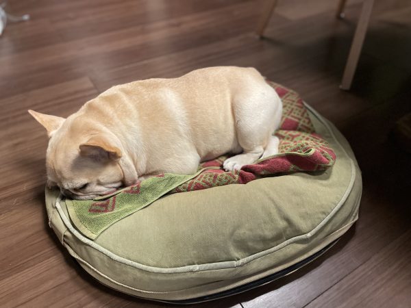 【50代 ファッション】これ買っちゃいました eclat premiumスタッフ《9月編》