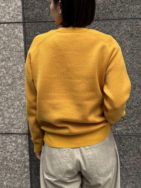 SLOANE
【HAPPY PLUS STORE×水晶玉子】12G天竺 ダブルフェイスクルーネック
￥37,400