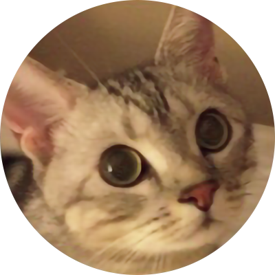 【50代 ファッション 】”MYスタイル”にぴったりな服、見つけました！ éclat premium2026年3月号特集