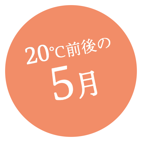 今買うべきは、2か月先まで着られる「着回し自在服」7選