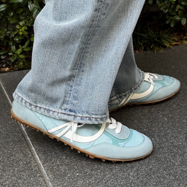 PALOMITASHALIA NYLON SUEDE¥24,200