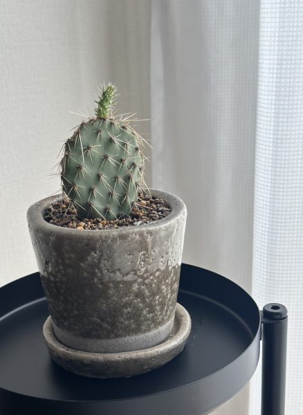 『良質な眠り』に誘う、心と体を癒してくれる快適パジャマ＆ナイトインナーを40代バイヤーがお試し！【40,50代ファッション】＃睡眠＃快眠