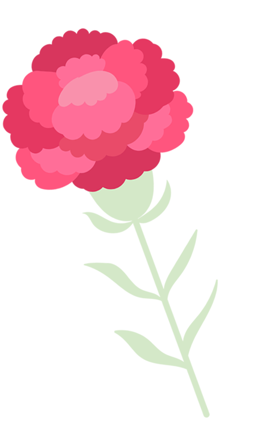 ありがとうを贈りたい！迷わず選べる母の日ギフト