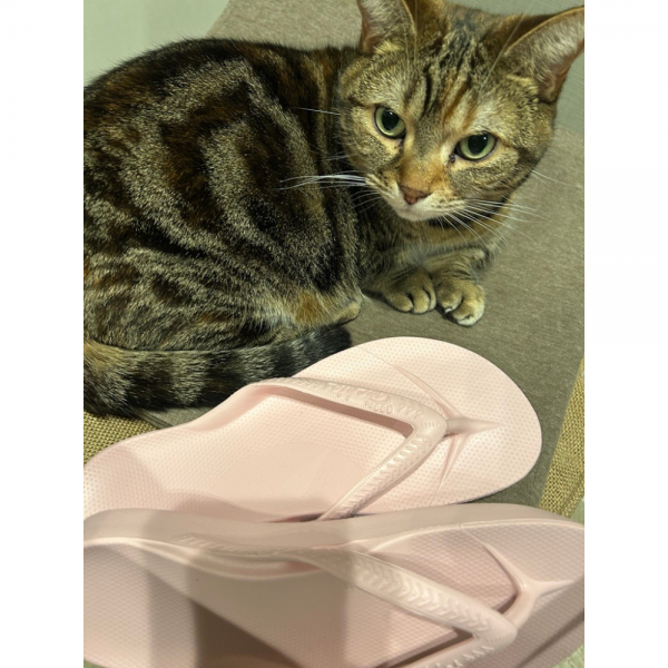 【50代 ファッション】これ買っちゃいました eclat premiumスタッフ《2026 4月編》